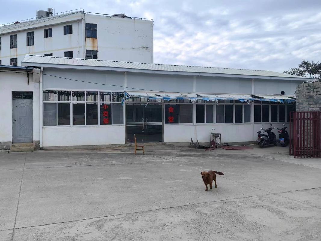 祥云县职中东侧、320国道南侧院房屋租赁