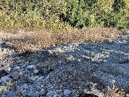 池州金桥投资集团有限公司关于池州茅迪矿业有限公司露天开采矿山剥离物中砂石土资源转让公告(国资监测编号GR2023AH2002163)