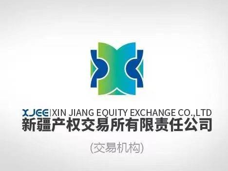 新疆天正泓浩能源发展有限公司转让持有山东泓浩能源发展有限公司100%股权(国资监测编号G32023XJ1000070)