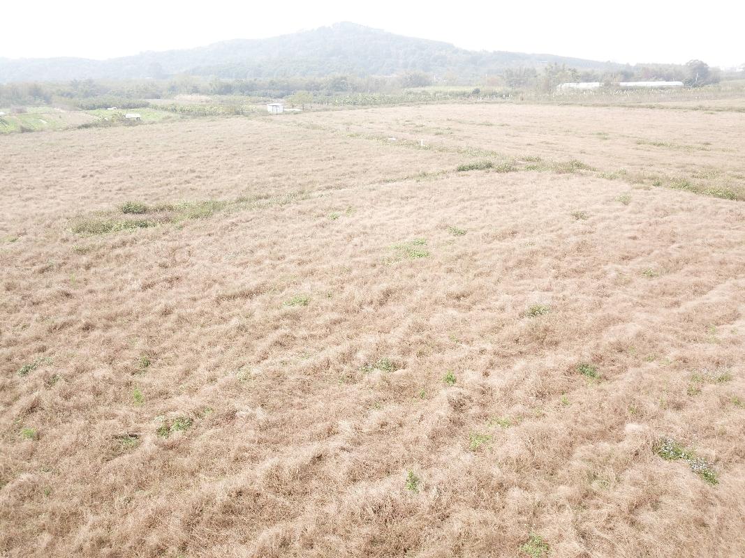 柳州市城中区静兰街道环江村约0.28亩土地（承包）经营权流转项目