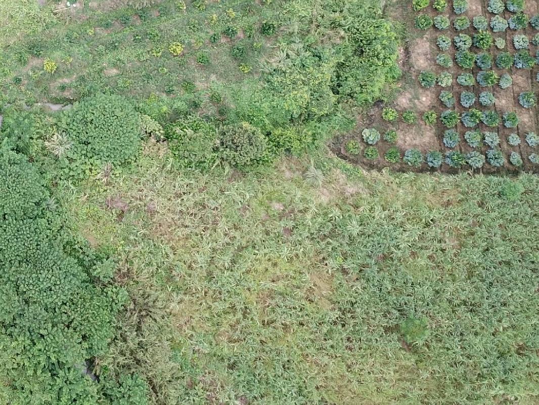 柳州市城中区静兰街道环江村约0.37亩土地（承包）经营权流转项目