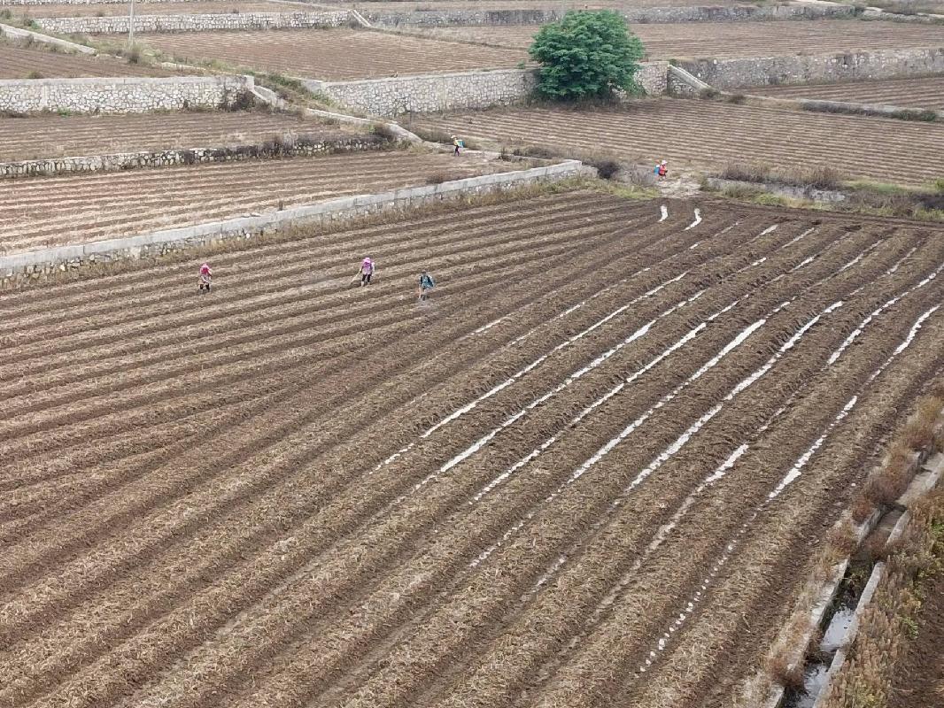 柳州市城中区静兰街道环江村约1.53亩土地（承包）经营权流转项目