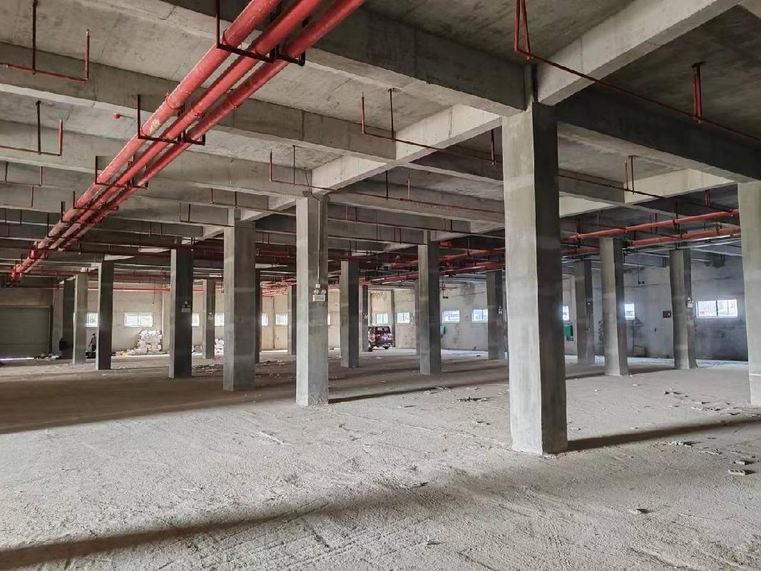 广西幼儿师范高等专科学校平果市马头镇大学路学府御景4幢商铺分别招租（5年）项目交易公告