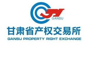 甘肃省临潭县新城镇东街村房产转让公告