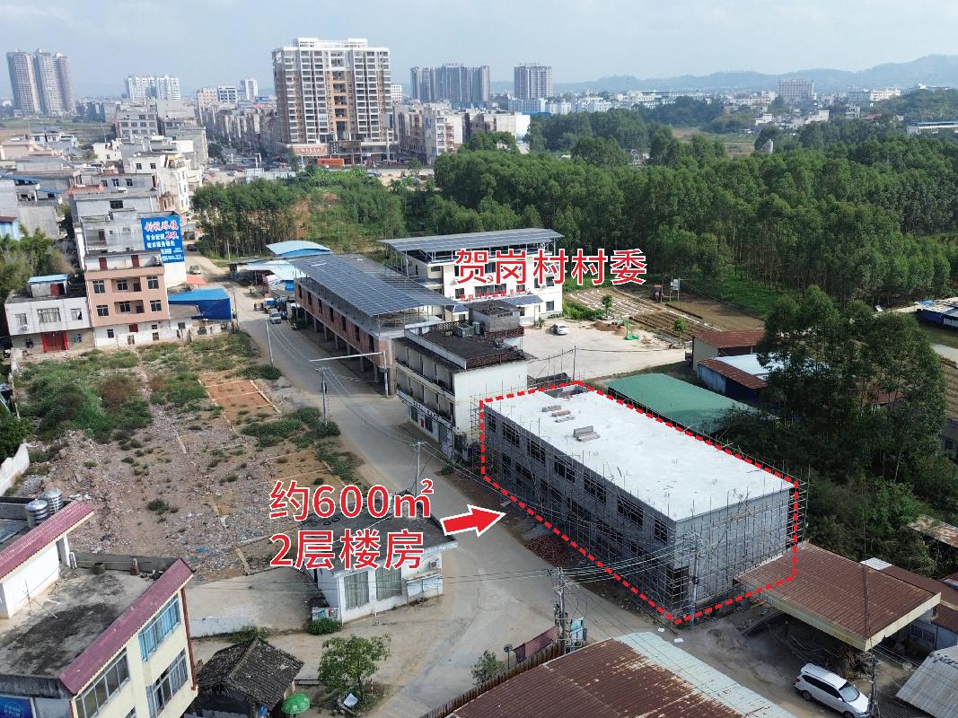 贵港市平南县大安镇贺岗村约600m²楼房招租项目