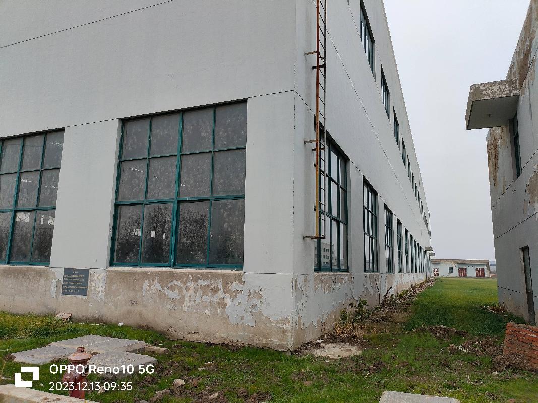宝应县经济开发区康源路198号的房地产及定附作物整体转让公告(国资监测编号GR2024JS1000463)