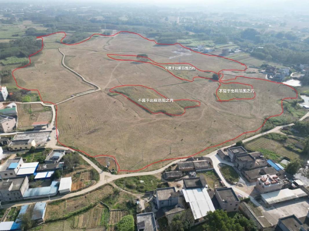 贵港市覃塘区三里镇双凤村扶者屯约321.839亩土地经营权流转项目-e交易农村产权交易平台
