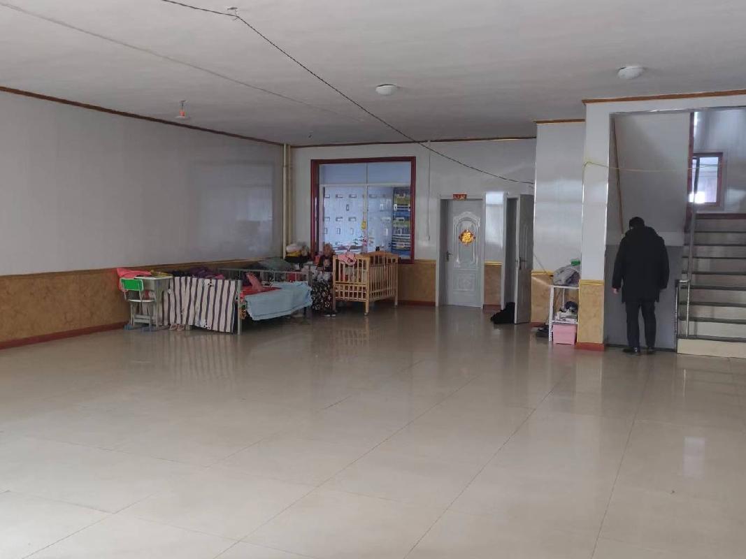 查日苏镇区203公路北侧商业房产
