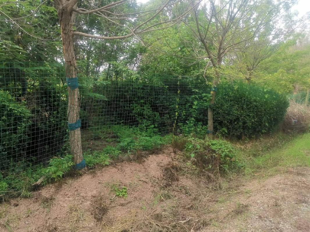  河南长垣一批苗圃基地生物性资产转让公告(国资监测编号GR2024JS4000628)