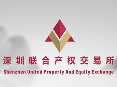 迪庆荣顺毛坡河发电有限责任公司55%股权及105,845,039.02元债权