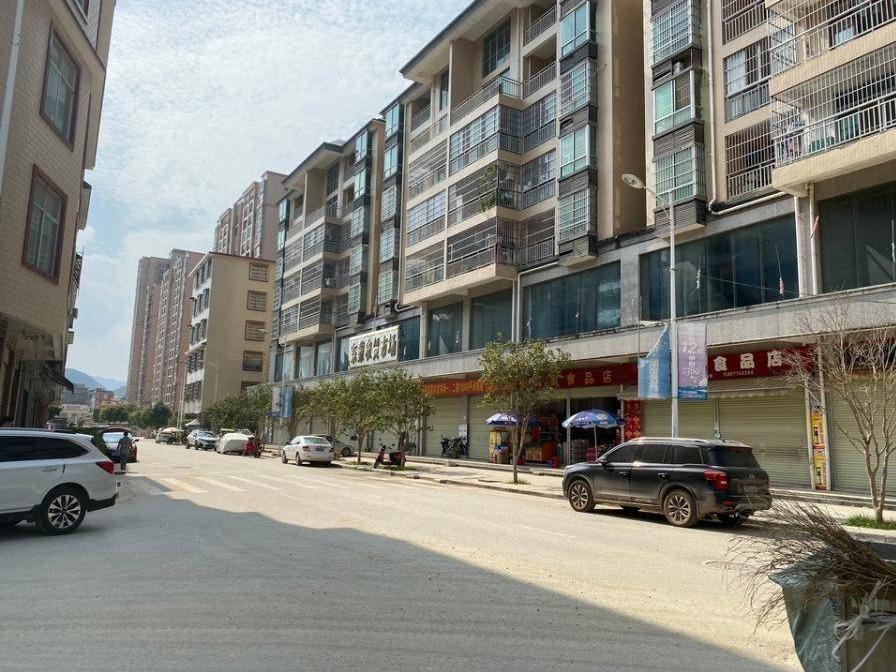 广西百色市德保县城关镇消防队（东蒙）西南面【盛新·都市名苑】202号商铺转让项目（二次挂牌）交易公告