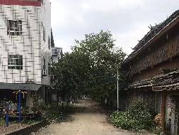 柳州市柳城县沙埔镇上雷街102号（东盟桂中农副产品交易中心）5#楼10号、11号、12号整体转让(三次挂牌)