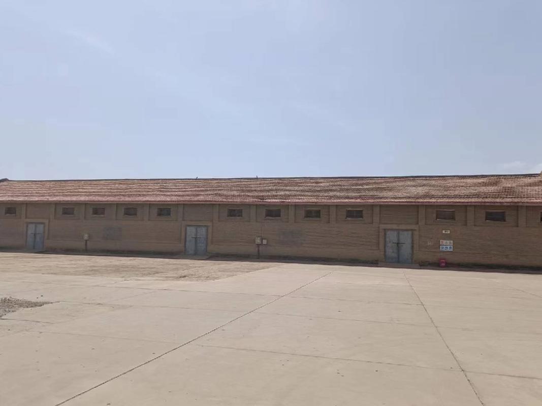 中央储备粮武威直属库有限公司丰乐粮站土地使用权、地上建（构）筑物及设备转让公告（第四次）(国资监测编号GR2024GS1000294)