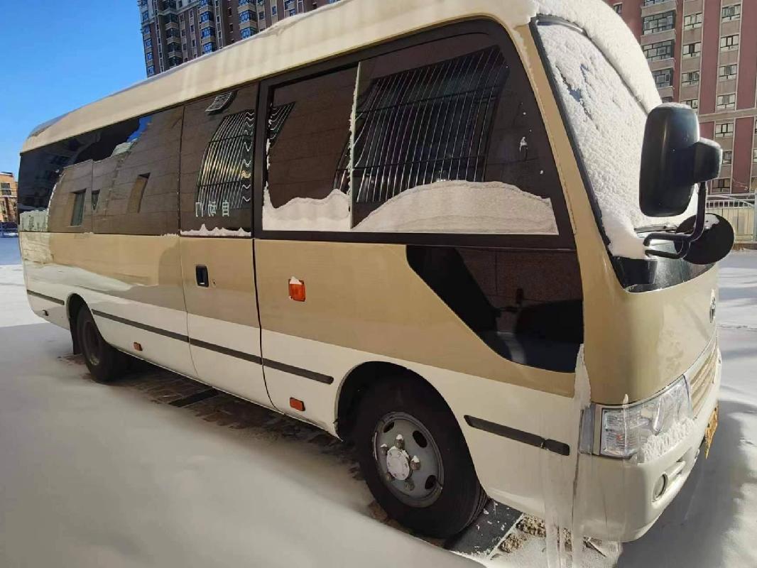（蒙E56865）丰田柯斯达大型普通客车2.7L（蒙商银行股份有限公司呼伦贝尔分行）转让项目