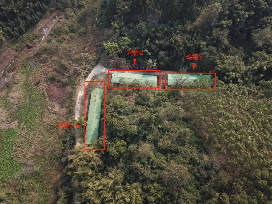 柳州市柳北区长塘镇梳庄村湴冲屯一处鸡棚招租项目
