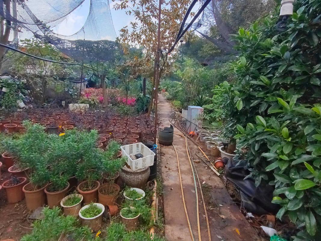 普洱思茅机场家属区2幢左侧1400平方米空地及职工食堂右侧780平方米空地租赁