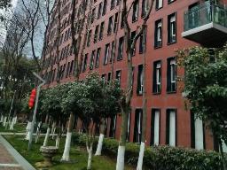 南京市建邺区河西大街87号朗诗国际街区北园1幢3单元1806室招租公告（三年起租）