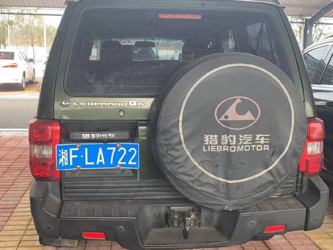 湘FLA722猎豹牌LBA6482LQ4小型 普通客车(国资监测编号GR2024HN1000323)
