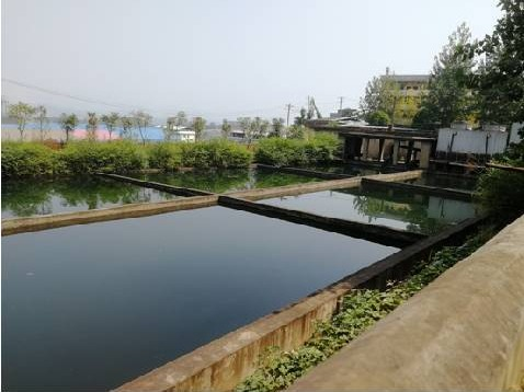 灌阳县工业集中区文市冶炼园房屋转让项目（三次挂牌）交易公告
