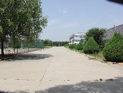 银川市贺兰县宁夏农产品物流中心纬三路以北种子加工厂土地使用权、房屋建（构）筑物及林木资产转让公告（第二次）(国资监测编号GR2024GS1000129)