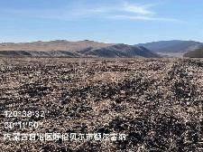 标5,约1945亩，上库力农牧场2024年土地经营权出租项目