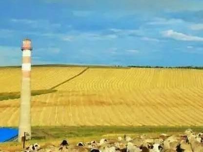 莫拐农牧场有限公司标10，2024年土地经营权出租，约3,075.00亩（其中水浇地858亩，旱地2217亩）