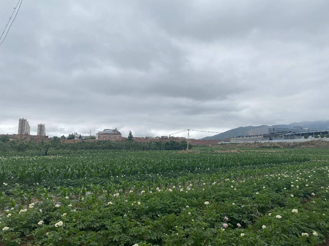云南省昭通市中心城市工业园区两宗土地使用权(二次挂牌)(国资监测编号GR2024YN1000098-2)