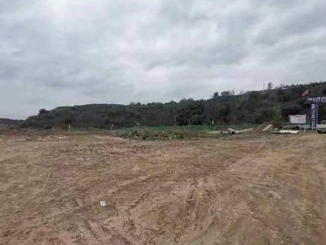 甘肃省庆阳市庆城县庆城镇十里坪村36.0723亩国有土地使用权转让公告(第十次)