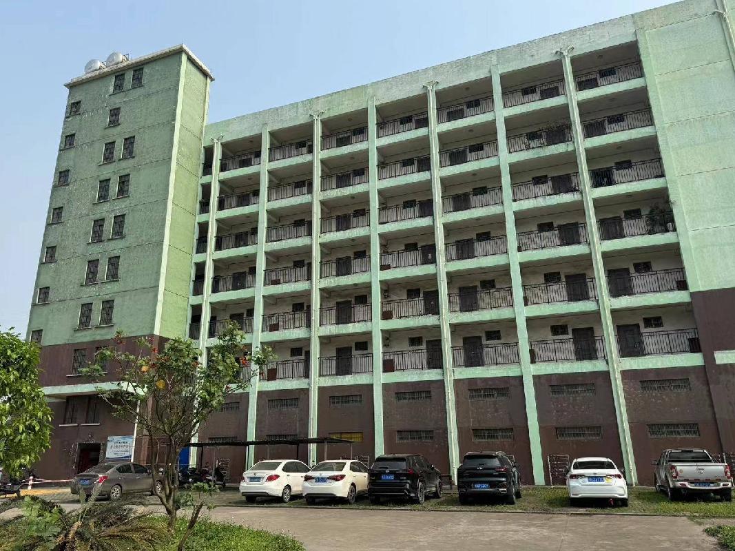 广西五金矿产进出口集团有限公司钦州分公司职工宿舍楼七楼宿舍招租项目交易公告