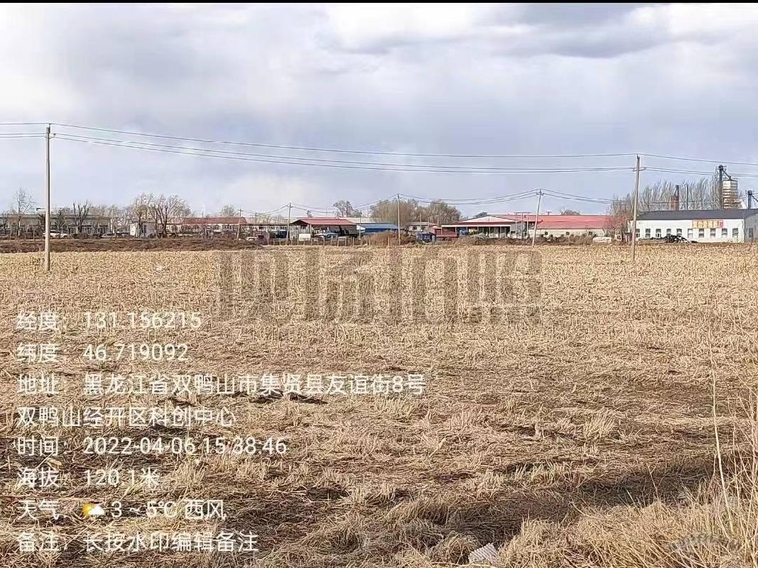 双鸭山国有资产经营公司16宗农用地分别出租交易公告