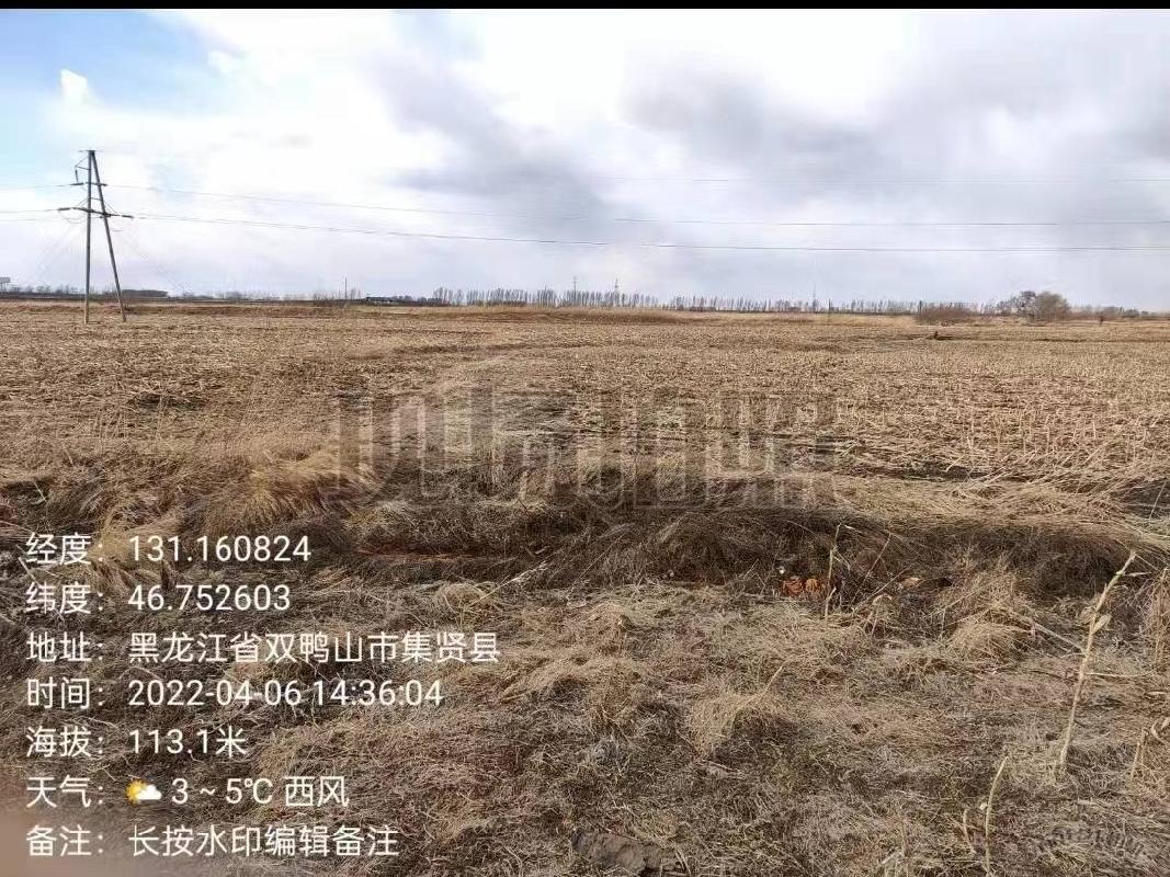 双鸭山国有资产经营公司16宗农用地分别出租交易公告