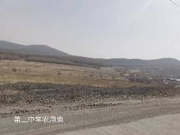 双鸭山国有资产经营公司16宗农用地分别出租交易公告
