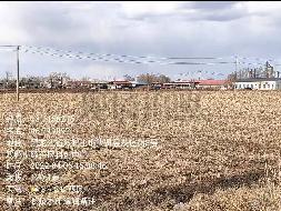 双鸭山国有资产经营公司16宗农用地分别出租交易公告