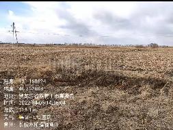 双鸭山国有资产经营公司16宗农用地分别出租交易公告