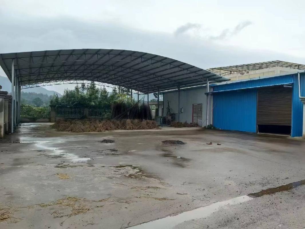 桂林市全州县才湾镇金堂村委水果市场招租项目