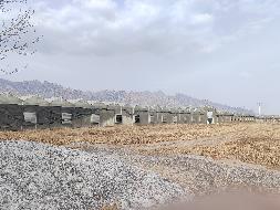 包头市土默特右旗九峰山林场110国道南侧66000㎡温室大棚转租项目