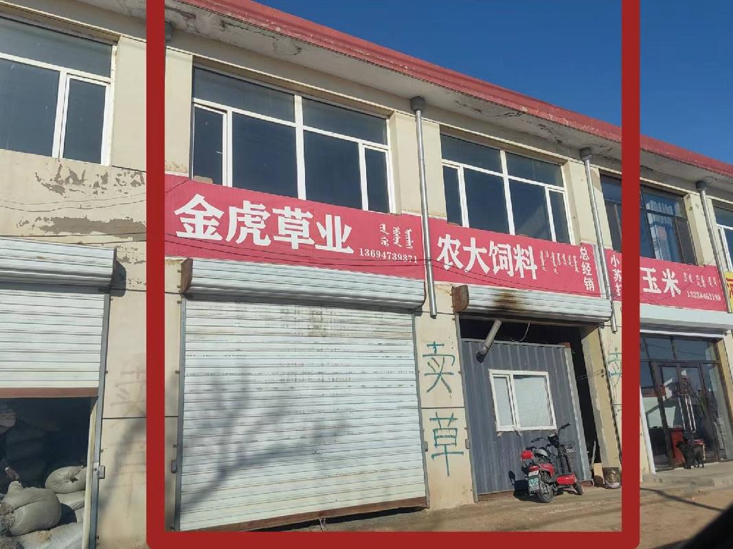 四子王旗乌兰花镇王府路北段路东（冷库北路西,金虎草业）南起第二、三间房产转让项目(二次公告）