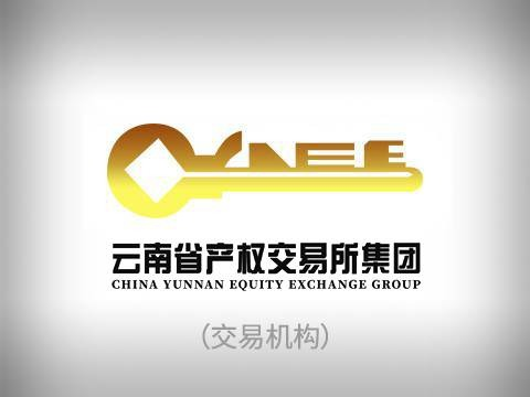 昆明长水国际机场进、出境免税店经营权公开招标(国资监测编号GR2024YN1000153)