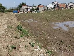 芜湖三山经济开发区高安街道白象村股份经济合作社约30亩土地经营权