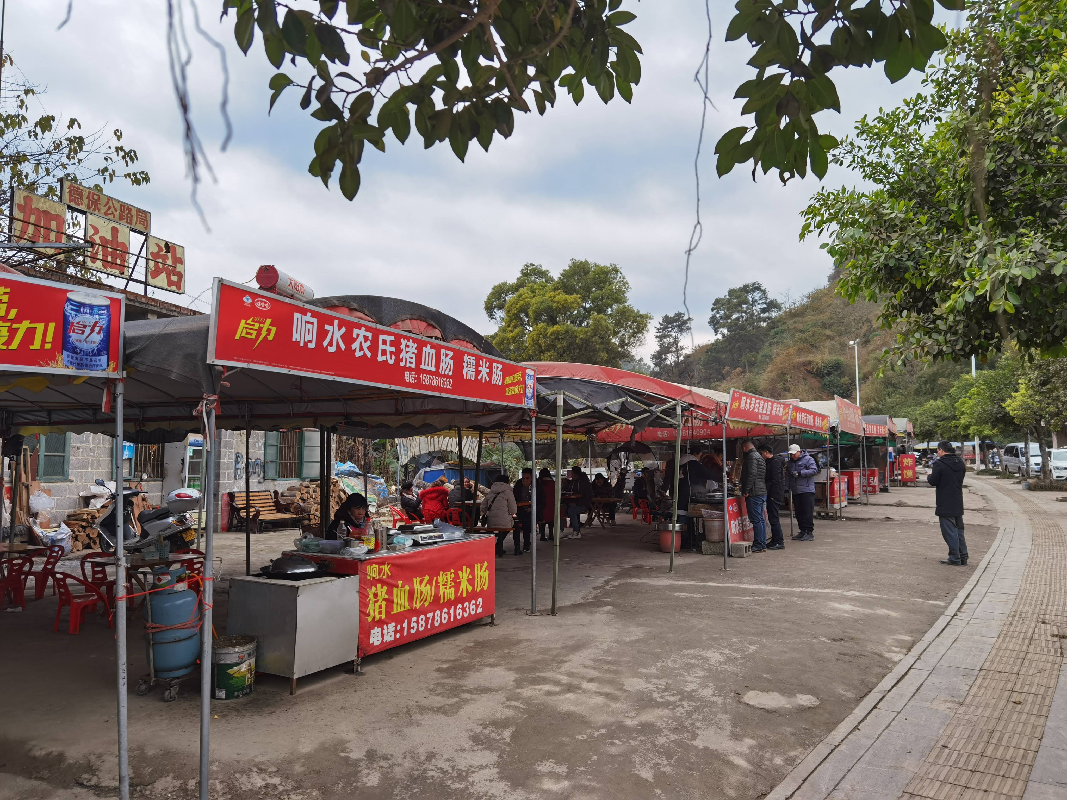 广西壮族自治区德保公路养护中心原加油站（德保县城关镇上甲街腰屯）220平方米土地招租（5年）项目
