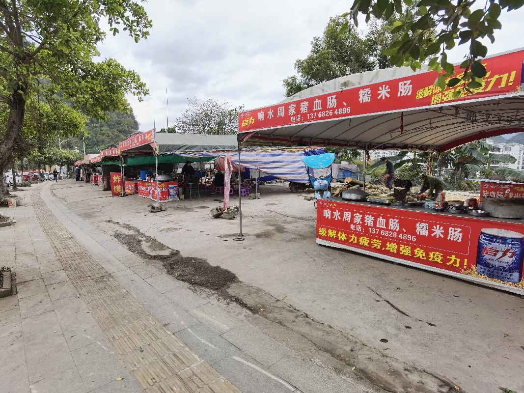 广西壮族自治区德保公路养护中心原加油站（德保县城关镇上甲街腰屯）220平方米土地招租（5年）项目