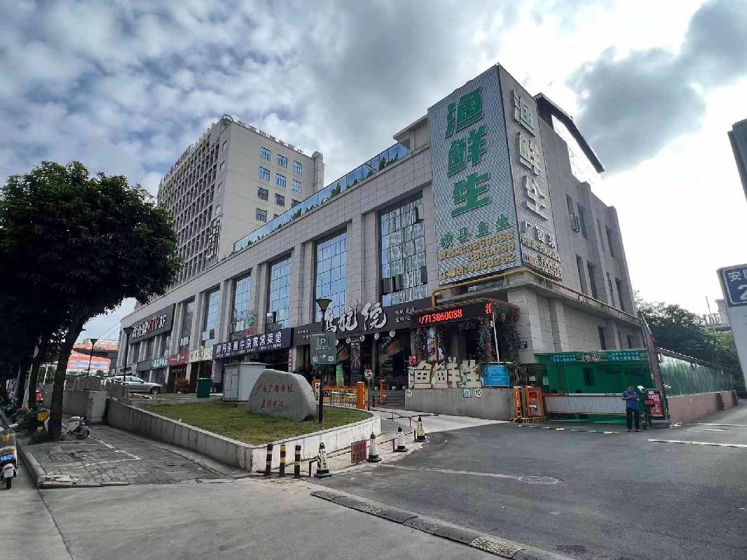 南宁市西乡塘区安阳路22号房屋整体招租（10年）项目交易公告
