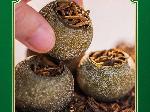 资产处置：【4盒】宝福林新会梅江头 采花果香小青柑普洱茶转让公告