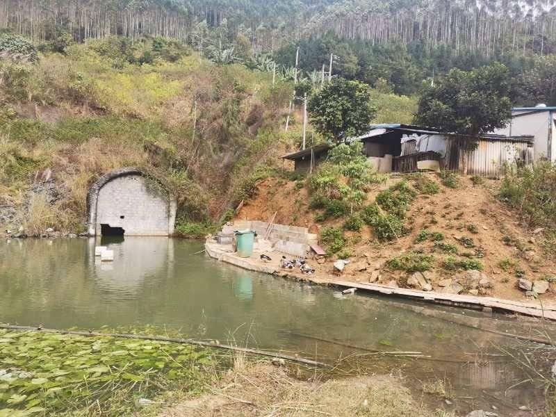 广西桂水电力股份有限公司那坡发电分公司百都水电站扩建增容工程项目一批实物资产整体转让项目交易公告(国资监测编号GR2024GX2000357)