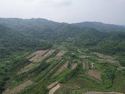 柳州市鹿寨县导江乡龙坪矿区周边土地经营权流转项目