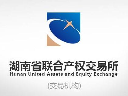 湖南鑫矿矿业集团有限公司9.9991％股权(国资监测编号G32024HN1000016)