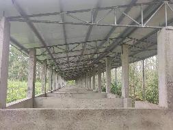 北海市合浦县沙岗镇双文村委会黄水沟约12亩猪场招租项目