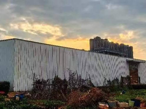 湖南省长沙市长沙县泉塘街道黄兴大道33号院内无证彩钢板房屋建筑物拆除后可回收建筑材料(三次挂牌)(国资监测编号GR2024HN1001288-3)