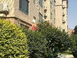 银川市兴庆区塞上骄子41号楼1单元601室及1号阁楼公开转让(国资监测编号GR2024JS1004828)
