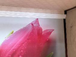 吴忠市利通区利宁街东侧红宝花园4号楼1902号房屋公开转让(国资监测编号GR2024JS1004821)